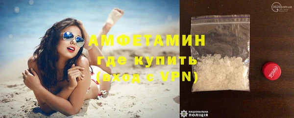 шишки Белокуриха