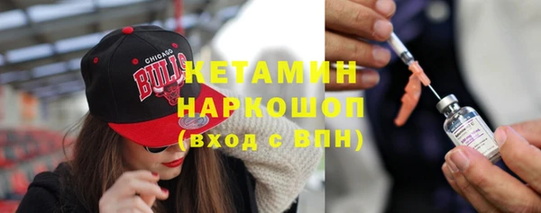 шишки Белокуриха