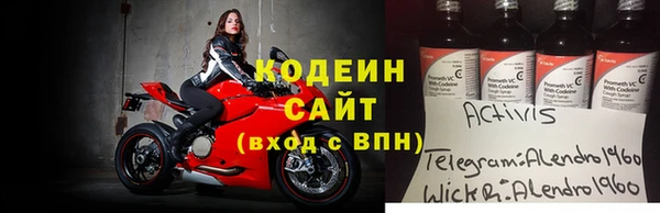 шишки Белокуриха