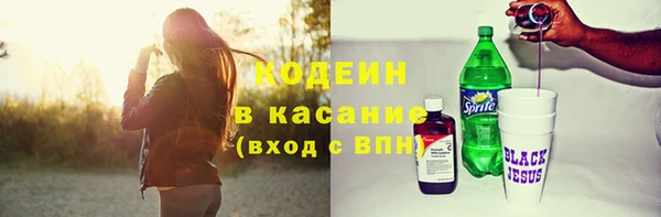 шишки Белокуриха