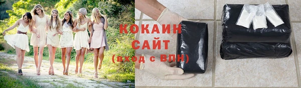 шишки Белокуриха