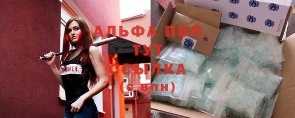 шишки Белокуриха