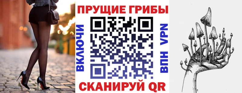 что такое   Печора  Псилоцибиновые грибы мицелий 
